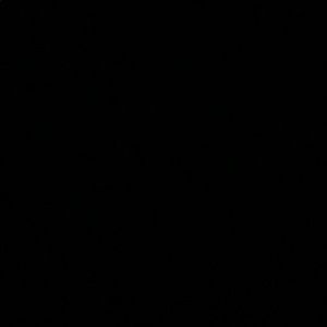 Meet your Posher, Beatrice